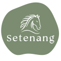 Setenang